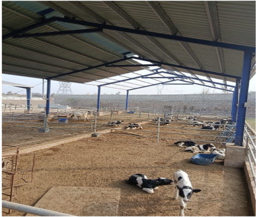 Infrastructure and Chillers